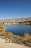 autuminal;autumn;autumn-colour;autumn-colours;autumnal;bicycle;bicycles;bike;bikes;Central-Otago;color;colors;colour;colours;Cornish-Point-Road;cycle;cycler;cyclers;cycles;cyclist;cyclists;deciduous;fall;Kawarau-Arm;lake;Lake-Dunstan;lakes;mountain-bike;mountain-biker;mountain-bikers;mountain-bikes;mtn-bike;mtn-biker;mtn-bikers;mtn-bikes;N.Z.;New-Zealand;NZ;Otago;outdoor;outdoors;push-bike;push-bikes;push_bike;push_bikes;pushbike;pushbikes;recreation;S.I.;season;seasonal;seasons;SI;South-Is.;South-Island;tree;trees