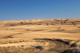 back-country;backcountry;Central-Otago;Central-Otago-peneplain;country;countryside;farm;farming;farmland;farms;gravel-road;gravel-roads;high-altitude;high-country;highcountry;highland;highlands;Lammermoor-Range;Lammermoor-Ranges;Maniototo;metal-road;metal-roads;metalled-road;metalled-roads;N.Z.;New-Zealand;NZ;Old-Dunstan-Road;Old-Dunstan-Track;Old-Dunstan-Trail;Otago;Otago-peneplain;remote;remoteness;road;roads;rural;S.I.;SI;snow;South-Is.;South-Island;tussock;tussocklands;tussocks;uiplands;upland;uplands