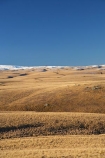 altitude;back-country;backcountry;Central-Otago;Central-Otago-peneplain;country;countryside;high-altitude;high-country;highcountry;highland;highlands;Lammermoor-Range;Lammermoor-Ranges;Maniototo;mount;mountain;mountainous;mountains;mt;mt.;N.Z.;New-Zealand;NZ;Old-Dunstan-Road;Old-Dunstan-Track;Old-Dunstan-Trail;Otago;Otago-peneplain;range;ranges;remote;remoteness;road;roads;Rock-and-Pillar-Range;rural;S.I.;SI;snow;snow-capped;snow_capped;snowcapped;snowy;South-Is.;South-Island;tussock;tussocklands;tussocks;uiplands;upland;uplands