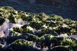 color;colors;colour;colours;crop;crops;cultivation;farm;farming;farms;field;fields;grape;grapes;grapevine;green;horticulture;net;nets;netting;row;rows;rural;vine;vines;vineyard;vineyards;vintage;wine;wineries;winery;wines