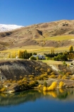 agricultural;agriculture;akarua-vineyard;akarua-winery;autuminal;autumn;autumnal;Bannockburn;Bannockburn-Inlet;cairnmuir-mountains;cairnmuir-range;Cairnmuir-Vineyard;carrick-winery;Central-Otago;color;colors;colour;colours;country;countryside;crop;crops;cultivation;deciduous;fall;farm;farming;farmland;farms;field;fields;grape;grapes;grapevine;horticulture;kawarau-arm;lake;Lake-Dunstan;lakes;leaf;leaves;New-Zealand;reflection;reflections;row;rows;rural;south-island;tree;trees;vine;vines;vineyard;vineyards;vintage;water;wine;wineries;winery;wines