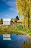 agricultural;agriculture;autuminal;autumn;autumnal;Bannockburn;Central-Otago;central-otago-vineyard;central-otago-vineyards;central-otago-wineries;central-otago-winery;color;colors;colour;colours;country;countryside;Cromwell;crop;crops;cultivation;dam;dams;deciduous;Domain-Rd-Vineyard;Domain-Road-Vineyard;fall;farm;farming;farmland;farms;grape;grapes;grapevine;horticulture;irrigation-dam;irrigation-dams;irrigation-pond;irrigation-reservoir;irrigation-reservoirs;irriigation-ponds;lake;leaf;leaves;N.Z.;New-Zealand;NZ;Otago;Pinot-Noir;pond;ponds;reflect;reflection;reflections;reservoir;reservoirs;rural;season;seasonal;seasons;South-Island;tree;trees;vine;vines;vineyard;vineyards;vintage;water_hole;willow;willow-tree;willow-trees;willows;wineage;wineries;winery;wines;yellow