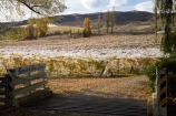 agricultural;agriculture;autuminal;autumn;autumn-colour;autumn-colours;autumnal;Bannock-Brae-Estate-Vineyard;Bannock-Brae-Vineyard;Bannockburn;cairnmuir-mountains;cairnmuir-range;Central-Otago;central-otago-vineyard;central-otago-vineyards;central-otago-wineries;central-otago-winery;color;colors;colour;colours;country;countryside;crop;crops;cultivation;deciduous;fall;farm;farming;farmland;farms;field;fields;grape;grapes;grapevine;horticulture;leaf;leaves;N.Z.;new-zealand;NZ;Otago;row;rows;rural;S.I.;season;seasonal;seasons;SI;south-island;tree;trees;vine;vines;vineyard;vineyards;vintage;wineage;wineries;winery;wines