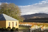 agricultural;agriculture;autuminal;autumn;autumnal;Bannockburn;bird-net;bird-nets;bird-netting;building;buildings;Central-Otago;central-otago-vineyard;central-otago-vineyards;central-otago-wineries;central-otago-winery;color;colors;colour;colours;country;countryside;Cromwell;crop;crops;cultivation;deciduous;Domain-Rd-Vineyard;Domain-Road-Vineyard;fall;farm;farming;farmland;farms;field;fields;grape;grapes;grapevine;green;heritage;historic;historic-building;historic-buildings;historical;historical-building;historical-buildings;history;horticulture;leaf;leaves;N.Z.;net;nets;netting;New-Zealand;NZ;old;orange;Otago;Pinot-Noir;red;row;rows;rural;S.I.;season;seasonal;seasons;SI;south-island;tradition;traditional;vine;vines;vineyard;vineyards;vintage;wineage;wineries;winery;wines
