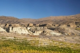 1865;agricultural;agriculture;autuminal;autumn;autumn-colour;autumn-colours;autumnal;Bannockburn;Central-Otago;central-otago-vineyard;central-otago-vineyards;central-otago-wineries;central-otago-winery;color;colors;colour;colours;country;countryside;crop;crops;cultivation;deciduous;diggings;fall;farm;farming;farmland;farms;field;fields;gold-fields;gold-mining;gold-rush;goldfields;goldmining;goldrush;grape;grapes;grapevine;heritage;historic;Historic-Gold-Sluicings;historical;history;horticulture;Mount-Difficulty-Vineyard;Mount-Difficulty-Vineyards;Mount-Difficulty-Winery;Mount-Difficulty-Wines;Mt-Difficulty-Vineyard;Mt-Difficulty-Vineyards;Mt-Difficulty-Winery;Mt-Difficulty-Wines;Mt.-Difficulty-Vineyard;Mt.-Difficulty-Vineyards;Mt.-Difficulty-Winery;Mt.-Difficulty-Wines;N.Z.;near-Cromwell;New-Zealand;NZ;old;Otago;row;rows;rural;S.I.;season;seasonal;seasons;SI;sluice;sluicing;sluicings;South-Is.;South-Island;tailings;tree;trees;vine;vines;vineyard;vineyards;vintage;wineage;wineries;winery;wines