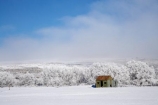 abandon;abandoned;agricultural;agriculture;beautiful;calm;calmness;castaway;Central-Otago;character;clean;clear;cold;Coldness;Color;Colour;corrugated-iron;corrugated-metal;corrugated-steel;country;countryside;Daytime;derelict;dereliction;deserted;desolate;desolation;destruction;Exterior;extreme-weather;farm;Farm-Building;Farm-Buildings;Farm-Shed;Farm-Sheds;farming;farmland;farms;field;fields;freeze;freezing;freezing-fog;frost;Frosted;frosts;frosty;high-country;hoar-frost;hoar-frosts;Hoarfrost;hoarfrosts;ice;ice-crystals;icy;Ida-Valley;Idaburn;idyllic;Landscape;Landscapes;Maniototo;meadow;meadows;N.Z.;natural;Nature;neglect;neglected;new-zealand;NZ;old;old-shed;old-sheds;Otago;Outdoor;Outdoors;Outside;paddock;paddocks;pasture;pastures;peaceful;Peacefulness;phenomena;phenomenon;pure;Quiet;Quietness;rime;rime-ice;ruin;ruins;run-down;rural;rustic;S.I.;Scenic;Scenics;Season;Seasons;shed;sheds;SI;silence;South-Is.;South-Island;spectacular;stunning;tranquil;tranquility;view;vintage;water;weather;White;willow-tree;willow-trees;willows;winter;Wintertime;wintery;wintry