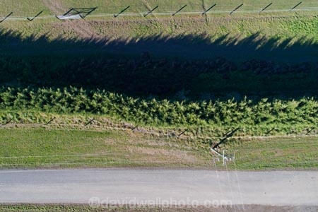 aerial;Aerial-drone;Aerial-drones;aerial-image;aerial-images;aerial-photo;aerial-photograph;aerial-photographs;aerial-photography;aerial-photos;aerial-view;aerial-views;aerials;agricultural;agriculture;Canterbury;Canterbury-Plain;Canterbury-Plains;country;countryside;Darfield;Drone;Drones;farm;farming;farmland;farms;field;fields;hedge;hedges;meadow;meadows;Mid-Canterbury;N.Z.;New-Zealand;NZ;paddock;paddocks;pasture;pastures;Quadcopter-aerial;Quadcopters-aerials;rural;S.I.;shelter-belt;shelter-belts;shelter_belt;shelter_belts;shelterbelt;shelterbelts;SI;South-Is;South-Island;Sth-Is.;U.A.V.-aerial;UAV-aerials;wind-break;wind-breaks;wind_break;wind_breaks;windbreak;windbreaks