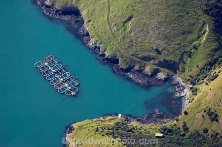 aerial;aerial-photo;aerial-photography;aerial-photos;aerial-view;aerial-views;aerials;Akaroa-Harbour;aqua-farm;aqua-farming;aqua-farms;aqua_farm;aqua_farming;aqua_farms;aquafarm;aquafarming;aquafarms;Banks-Peninsula;bay;bays;Canterbury;coast;coastal;coastline;coastlines;coasts;harbor;harbors;harbour;harbours;inlet;inlets;marine-farm;marine-farming;marine-farms;N.Z.;New-Zealand;NZ;ocean;oceans;S.I.;sea;shore;shoreline;shorelines;shores;SI;South-Island;water