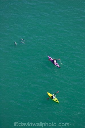 adventure;adventure-tourism;aerial;aerial-photo;aerial-photography;aerial-photos;aerial-view;aerial-views;aerials;Akaroa-Harbour;Banks-Peninsula;boat;boats;canoe;canoeing;canoes;Canterbury;Cephalorhynchus-hectori;coast;coastal;coastline;coastlines;coasts;harbor;harbors;harbour;harbours;Hectors-Dolphin;Hectors-Dolphins;kayak;kayaker;kayakers;kayaking;kayaks;N.Z.;New-Zealand;NZ;ocean;oceans;paddle;paddler;paddlers;paddling;S.I.;sea;sea-kayak;sea-kayaker;sea-kayakers;sea-kayaking;sea-kayaks;shore;shoreline;shorelines;shores;SI;South-Island;water
