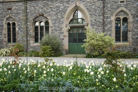 1870;architectural;architecture;bloom;blooming;blooms;Botanic-Garden;Botanic-Gardens;Botanical-Garden;Botanical-Gardens;building;buildings;Canterbury;Canterbury-museum;Christchurch;Christchurch-Botanic-Garden;Christchurch-Botanic-Gardens;Christchurch-Botanical-Garden;Christchurch-Botanical-Gardens;christchurch-museum;flower;flowers;fresh;grow;growth;heritage;historic;historic-building;historic-buildings;historical;historical-building;historical-buildings;history;museum;museums;N.Z.;New-Zealand;NZ;old;renew;S.I.;season;seasonal;seasons;SI;South-Is.;South-Island;spring;springtime;tradition;traditional;tulip;tulips