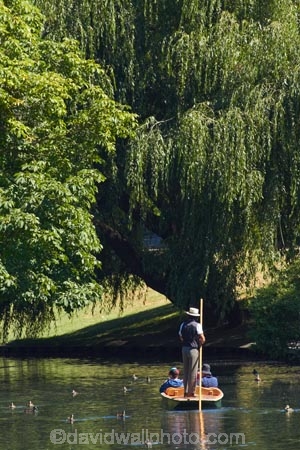 Avon;Avon-River;Avon-River-Avon;boat;boating;boats;Canterbury;Christchurch;Hagley-Park;N.Z.;New-Zealand;NZ;people;person;poler;polers;polling;punt;punter;punters;punting;Punting-on-the-Avon;punts;river;River-Avon;river-rivers;rivers;S.I.;SI;South-Is;South-Island;tourism;tourist;tourists