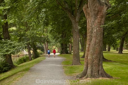Canterbury;children;Christchurch;foot-path;foot-paths;footpath;footpaths;forest;forests;Hagley-Park;Hagley-Park-North;N.Z.;New-Zealand;North-Hagley-Park;NZ;people;person;S.I.;South-Is;South-Island;track;tracks;tree;trees;walker;walkers;walking;walking-path;walking-track