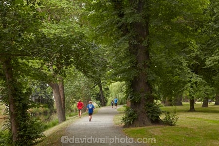 Canterbury;children;Christchurch;foot-path;foot-paths;footpath;footpaths;forest;forests;Hagley-Park;Hagley-Park-North;N.Z.;New-Zealand;North-Hagley-Park;NZ;people;person;S.I.;South-Is;South-Island;track;tracks;tree;trees;walker;walkers;walking;walking-path;walking-track