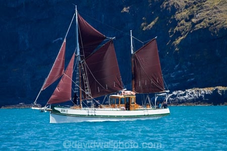Akaroa;Akaroa-Harbor;Akaroa-Harbour;Banks-Peninsula;bluff;bluffs;Canterbury;cliff;cliffs;Fox-2;Fox-II;gaffed-rigged-ketch;heritage;historic;historic-place;historic-places;historic-site;historic-sites;historical;historical-place;historical-places;historical-site;historical-sites;history;ketch;ketches;N.Z.;New-Zealand;NZ;old;S.I.;sail-boat;sial-boats;South-Is;South-Island;tradition;traditional;yacht;yachts