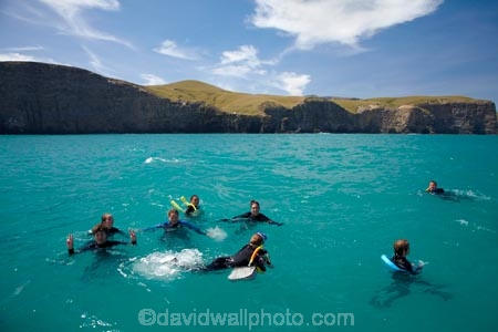 Akaroa;Akaroa-Harbor;Akaroa-Harbour;Banks-Peninsula;Canterbury;N.Z.;New-Zealand;NZ;people;person;S.I.;South-Is;South-Island