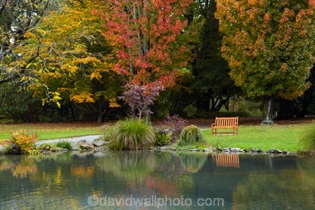 autuminal;autumn;autumn-colour;autumn-colours;autumnal;Botanic-Garden;Botanic-Gardens;Botanical-Garden;Botanical-Gardens;Canterbury;Christchurch;Christchurch-Botanic-Gardens;Christchurch-Botanical-Gardens;Christchurch-Gardens;color;colors;colour;colours;deciduous;fall;garden;gardens;gold;golden;Hagley-Park;leaf;leaves;N.Z.;New-Zealand;NZ;S.I.;season;seasonal;seasons;SI;South-Is;South-Island;Sth-Is;tree;trees;yellow