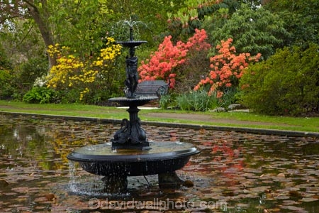 Canterbury;Chch;Christchurch;Fendalton;fountain;fountains;garden;gardens;Karewa;Mona-Vale;N.Z.;New-Zealand;NZ;pond;ponds;S.I.;SI;South-Is;South-Island;Sth-Is