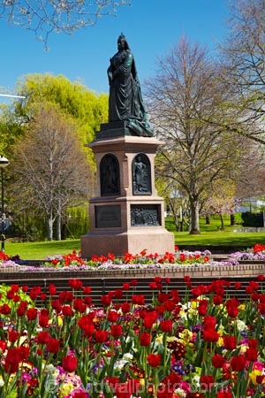 bloom;blooming;blooms;blooning;Canterbury;Christchurch;floral;flower;flower-bed;flower-beds;flower-garden;flower-gardens;flowers;garden;gardens;N.Z.;New-Zealand;NZ;public-flower-garden;public-garden;public-gardens;Queen-Victoria-Statue;red;red-flower;red-flowers;red-tulip;red-tulips;S.I.;SI;South-Is;South-Island;spring;spring-time;spring_time;springtime;statue;statues;Sth-Is;tree;trees;tulip;Tulipa;tulips;Victoria-Sq;Victoria-Square;Victoria-Statue