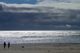Aotearoa;beach;beaches;Canterbury;Christchurch;coast;coastal;coastline;dog;dogs;N.Z.;New-Zealand;NZ;ocean;oceans;sand;sandy;sea;seas;shore;shoreline;South-Is;South-Island;Sth-Is;Sumner;Sumner-Beach;sunlight