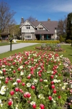 art-centre;Arts-Centre;Botanic-Gardens;Botanical-Gardens;building;buildings;canterbury;Christchurch;Curators-House-Restaurant;Curators-House-Restaurant;flower;flowers;heritage;historic;historical;history;New-Zealand;old;pink;South-Island;tulip;tulips