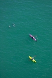 adventure;adventure-tourism;aerial;aerial-photo;aerial-photography;aerial-photos;aerial-view;aerial-views;aerials;Akaroa-Harbour;Banks-Peninsula;boat;boats;canoe;canoeing;canoes;Canterbury;Cephalorhynchus-hectori;coast;coastal;coastline;coastlines;coasts;harbor;harbors;harbour;harbours;Hectors-Dolphin;Hectors-Dolphins;kayak;kayaker;kayakers;kayaking;kayaks;N.Z.;New-Zealand;NZ;ocean;oceans;paddle;paddler;paddlers;paddling;S.I.;sea;sea-kayak;sea-kayaker;sea-kayakers;sea-kayaking;sea-kayaks;shore;shoreline;shorelines;shores;SI;South-Island;water