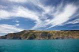 Akaroa;Akaroa-Harbor;Akaroa-Harbour;Banks-Peninsula;bluff;bluffs;Canterbury;cliff;cliffs;N.Z.;New-Zealand;NZ;S.I.;South-Is;South-Island