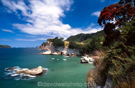 beach;beaches;cave;caves;erosion;pohutukawa;pohutukawas;red;sand;sea-cave;seascape;seascapes;tourism;water;waterfront