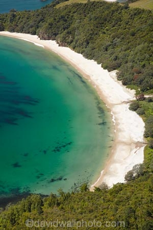 3989;aerial;aerial-photo;aerial-photograph;aerial-photographs;aerial-photography;aerial-photos;aerial-view;aerial-views;aerials;beach;beaches;coast;coastal;coastline;coastlines;coasts;coromandel;coromandel-peninsula;crescent;crescents;foreshore;island;N.I.;N.Z.;natural;new;New-Chums-Beach;New-Zealand;NI;north;North-Is;north-is.;North-Island;NZ;ocean;peninsula;pristine;sand;sandy;sea;shore;shoreline;shorelines;shores;untouched;Waikato;Wainuiototo-Bay;water;zealand
