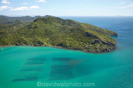 4044;aerial;aerial-photo;aerial-photograph;aerial-photographs;aerial-photography;aerial-photos;aerial-view;aerial-views;aerials;aqua-culture;aqua-farm;aqua-farming;aqua-farms;aqua_culture;aqua_farm;aqua_farming;aqua_farms;aquaculture;aquafarm;aquafarming;aquafarms;bay;bays;coast;coastal;coastline;coastlines;coasts;coromandel;coromandel-peninsula;foreshore;Harataunga;inlet;inlets;island;Kennedy-Bay;Kennedys-Bay;marine-farm;marine-farming;marine-farms;N.I.;N.Z.;new;New-Zealand;NI;north;North-Is;north-is.;North-Island;NZ;ocean;peninsula;sea;shore;shoreline;shorelines;shores;Waikato;water;zealand