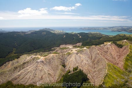 4105;aerial;aerial-photo;aerial-photograph;aerial-photographs;aerial-photography;aerial-photos;aerial-view;aerial-views;aerials;coromandel;coromandel-peninsula;exotic-forest;exotic-forestry;exotic-forests;forest;forestry;forests;industrial;industry;island;N.I.;N.Z.;new;New-Zealand;NI;north;North-Is;north-is.;North-Island;NZ;peninsula;pine-tree;pine-trees;timber;tree;trees;trunk;trunks;Waikato;wood;woods;zealand