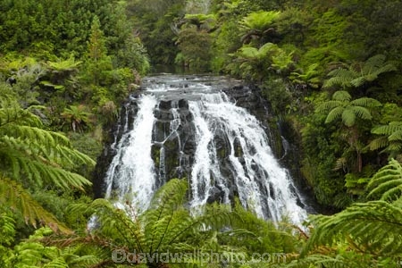 brook;calm;calmness;cascade;cascades;Coromandel;Coromandel-Peninsula;creek;creeks;falls;fern;forest;green;Karangahake-Gorge;N.I.;N.Z.;native-bush;natural;nature;New-Zealand;NI;North-Is;North-Is.;North-Island;NZ;Owharoa-Falls;Paeroa;scene;scenic;stream;streams;Waikato;water;water-fall;water-falls;waterfall;waterfalls;wet