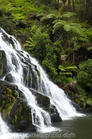 brook;calm;calmness;cascade;cascades;Coromandel;Coromandel-Peninsula;creek;creeks;falls;fern;forest;green;Karangahake-Gorge;N.I.;N.Z.;native-bush;natural;nature;New-Zealand;NI;North-Is;North-Is.;North-Island;NZ;Owharoa-Falls;Paeroa;scene;scenic;stream;streams;Waikato;water;water-fall;water-falls;waterfall;waterfalls;wet