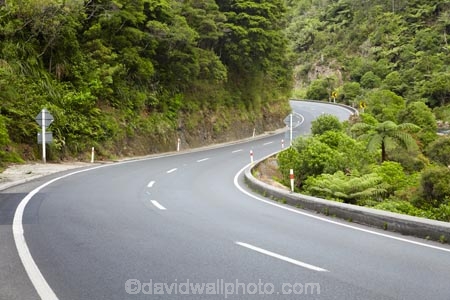 bend;bends;centre-line;centre-lines;centre_line;centre_lines;centreline;centrelines;corner;corners;Coromandel;Coromandel-Peninsula;curve;curves;driving;highway;highways;Karangahake-Gorge;N.I.;N.Z.;New-Zealand;NI;North-Is;North-Is.;North-Island;NZ;open-road;open-roads;Paeroa;road;road-trip;roads;transport;transportation;travel;traveling;travelling;trip;Waikato