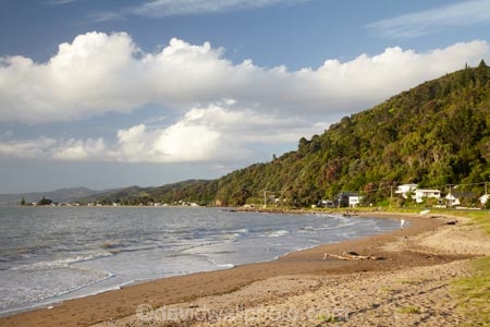 coast;coastal;coastline;coastlines;coasts;Coromandel;Coromandel-Peninsula;foreshore;N.I.;N.Z.;New-Zealand;Ngarimu-Bay;NI;North-Is;North-Is.;North-Island;NZ;ocean;sea;shore;shoreline;shorelines;shores;Thames;Thornton-Bay;Waikato;water