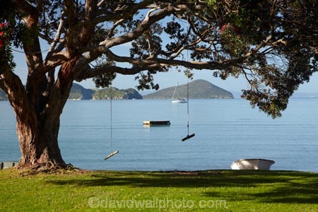boat;boats;coast;coastal;coastline;coastlines;coasts;Coromandel;Coromandel-Peninsula;dinghies;dinghy;dories;dory;flower;flowers;foreshore;metrosideros-excelsa;N.I.;N.Z.;New-Zealand;NI;North-Is;North-Is.;North-Island;NZ;Oamaru-Bay;ocean;plant;plants;pohutakawa;pohutakawas;pohutukawa;pohutukawa-flower;pohutukawa-flowers;pohutukawa-tree;pohutukawa-trees;pohutukawas;rope-swing;rope-swings;row-boat;row-boats;rowboat;rowboats;sea;shore;shoreline;shorelines;shores;tree;trees;Waikato;water