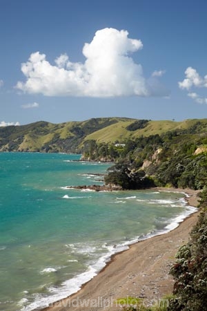 Amodeo-Bay;coast;coastal;coastline;coastlines;coasts;Colville-Rd;Colville-Road;Coromandel;Coromandel-Peninsula;foreshore;N.I.;N.Z.;New-Zealand;NI;North-Is;North-Is.;North-Island;NZ;ocean;sea;shore;shoreline;shorelines;shores;Waikato;water