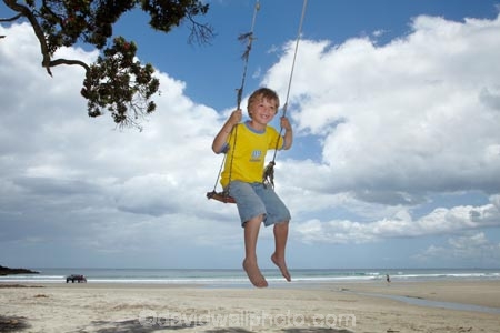 7-year-old;7-years-old;8-year-old;8-years-old;beach;beaches;boy;boys;child;children;coast;coastal;Coromandel;Coromandel-Peninsula;eight-year-old;eight-years-old;fun;happy;joy;kid;kids;kiwi-icon;kiwi-icons;kiwiana;little-boy;little-boys;N.I.;N.Z.;New-Zealand;NI;North-Is;North-Is.;North-Island;NZ;outdoor;outside;people;person;play;playing;Pohutukawa-Tree;Pohutukawa-Trees;rope-swing;rope-swings;seven-year-old;seven-years-old;shore;summer;swing;swinging;swings;Waihi-Beach;Waikato;young-boy;young-boys