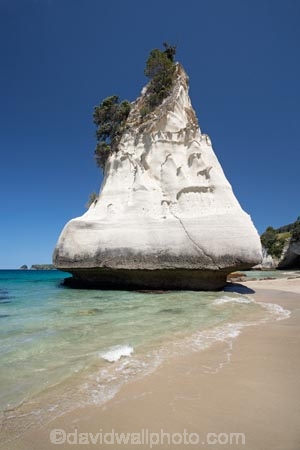 beach;beaches;Cathedral-Cove;Cathedral-Cove-recreation-reserve;coast;coastal;coastline;coastlines;coasts;Coromandel;Coromandel-Peninsula;foreshore;geological;geology;Hahei;marine-reserve;marine-reserves;Mercury-Bay;N.I.;N.Z.;New-Zealand;NI;North-Is;North-Is.;North-Island;NZ;ocean;oceans;rock;rock-formation;rock-formations;rock-outcrop;rock-outcrops;rock-tor;rock-torr;rock-torrs;rock-tors;rocks;sand;sandy;sea;seas;shore;shoreline;shorelines;shores;stone;Te-Whanganui-A-Hei-Marine-Reserve;Te-Whanganui_A_Hei-Marine-Reserve;Waikato;water