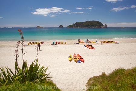 adventure;adventure-tourism;beach;beaches;boat;boats;canoe;canoeing;canoes;coast;coastal;coastline;coastlines;coasts;Coromandel;Coromandel-Peninsula;flax;foreshore;Hahei;Hahei-Beach;kayak;kayaking;kayaks;leisure;N.I.;N.Z.;New-Zealand;NI;North-Is;North-Is.;North-Island;NZ;ocean;recreation;sand;sandy;sea;sea-kayak;sea-kayaking;sea-kayaks;seas;shore;shoreline;shorelines;shores;summer;Te-Tio-Is;Te-Tio-Island;Waikato;water