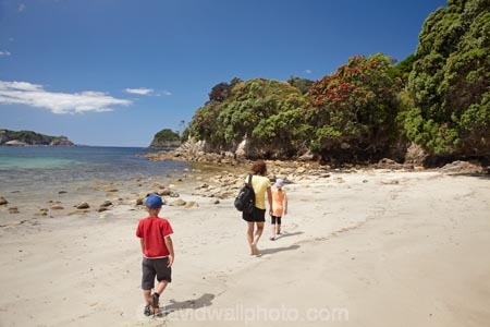 beach;beaches;boy;boys;brother;brothers;child;children;coast;coastal;coastline;coastlines;coasts;Coromandel;Coromandel-Peninsula;crimson;families;family;flower;flowers;foreshore;girl;girls;Hahei;Hahei-Beach;kid;kids;little-boy;little-boys;little-girl;little-girls;metrosideros-excelsa;N.I.;N.Z.;New-Zealand;NI;North-Is;North-Is.;North-Island;NZ;ocean;people;person;plant;plants;pohutakawa;pohutakawas;pohutukawa;pohutukawa-flower;pohutukawa-flowers;pohutukawa-tree;pohutukawa-trees;pohutukawas;red;red-flowers;sand;sandy;sea;seas;shore;shoreline;shorelines;shores;sibling;siblings;sister;sisters;tree;trees;Waikato;water