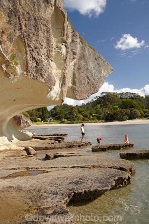 children;Coromandel;Coromandel-Peninsula;families;family;female;Flaxmill-Bay;geological;geology;kids;Maramaratotara-Bay;Mercury-Bay;N.I.;N.Z.;New-Zealand;NI;North-Is;North-Is.;North-Island;NZ;people;person;rock;rock-formation;rock-formations;rock-outcrop;rock-outcrops;rock-overhang;rock-tor;rock-torr;rock-torrs;rock-tors;rocks;stone;summer;Waikato;woman