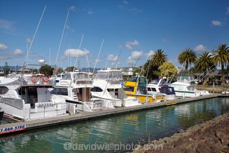 boat;boats;calm;calmness;Coromandel;Coromandel-Peninsula;fishing-boats;harbor;harbors;harbour;harbours;launch;launches;marina;marinas;N.I.;N.Z.;New-Zealand;NI;North-Is;North-Is.;North-Island;NZ;port;ports;sail;sailing;still;stillness;Waikato;Whitianga;Whitianga-Marina;yacht;yachts