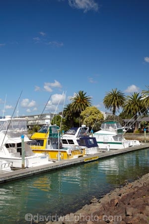 boat;boats;calm;calmness;Coromandel;Coromandel-Peninsula;fishing-boats;harbor;harbors;harbour;harbours;launch;launches;marina;marinas;N.I.;N.Z.;New-Zealand;NI;North-Is;North-Is.;North-Island;NZ;port;ports;sail;sailing;still;stillness;Waikato;Whitianga;Whitianga-Marina;yacht;yachts