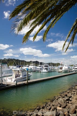 boat;boats;calm;calmness;Coromandel;Coromandel-Peninsula;fishing-boats;harbor;harbors;harbour;harbours;launch;launches;marina;marinas;N.I.;N.Z.;New-Zealand;NI;North-Is;North-Is.;North-Island;NZ;palm;palm-tree;palm-trees;palms;port;ports;sail;sailing;still;stillness;Waikato;Whitianga;Whitianga-Marina;yacht;yachts
