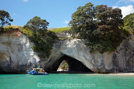 beach;beaches;bluff;bluffs;boat;boat-tour;boat-tours;boat-trip;boat-trips;boats;Cathedral-Cove;Cathedral-Cove-recreation-reserve;cave;cavern;caverns;caves;cliff;cliffs;coast;coastal;coastline;coastlines;coasts;Coromandel;Coromandel-Peninsula;cruise;cruises;foreshore;geological;geology;Glass-Bottom-Boat;Glass-Bottom-Boats;Glass-Bottomed-Boat;Glass-Bottomed-Boats;grotto;grottos;Hahei;launch;launches;littoral-cave;littoral-caves;marine-reserve;marine-reserves;Mercury-Bay;Mercury-Bay-Seafaris;N.I.;N.Z.;New-Zealand;NI;North-Is;North-Is.;North-Island;NZ;ocean;oceans;pleasure-boat;pleasure-boats;roch-arches;rock;rock-arch;rock-formation;rock-formations;rocks;sand;sandy;sea;sea-cave;sea-caves;seas;shore;shoreline;shorelines;shores;speed-boat;speed-boats;stone;Te-Whanganui-A-Hei-Marine-Reserve;Te-Whanganui_A_Hei-Marine-Reserve;tour-boat;tour-boats;tourism;tourist;tourist-boat;tourist-boats;Waikato;water