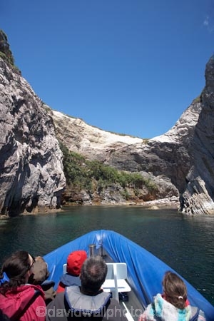 bluff;bluffs;boat;boat-tour;boat-tours;boat-trip;boat-trips;boats;cliff;cliffs;Coromandel;Coromandel-Peninsula;cruise;cruises;Hahei;launch;launches;N.I.;N.Z.;New-Zealand;NI;North-Is;North-Is.;North-Island;NZ;pleasure-boat;pleasure-boats;Sea-Cave-Adventures;speed-boat;speed-boats;tour-boat;tour-boats;tourism;tourist;tourist-boat;tourist-boats;Waikato;water;Whitianga-Adventures
