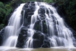 brook;calm;calmness;fern;forest;green;native-bush;natural;nature;stream;water;water-falls;waterfall;waterfalls