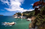 beach;beaches;cave;caves;erosion;pohutukawa;pohutukawas;red;sand;sea-cave;seascape;seascapes;tourism;water;waterfront