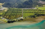 3539;aerial;aerial-photo;aerial-photograph;aerial-photographs;aerial-photography;aerial-photos;aerial-view;aerial-views;aerials;agricultural;agriculture;coast;coastal;coastline;coastlines;coasts;coromandel;coromandel-peninsula;country;countryside;crop;crops;estuaries;estuary;farm;farming;farmland;farms;field;fields;foreshore;fruit;fruit-tree;fruit-trees;horticulture;inlet;inlets;island;Kiwifruit-Orchard;Kiwifruit-Orchards;lagoon;lagoons;N.I.;N.Z.;new;New-Zealand;NI;north;North-Is;north-is.;North-Island;NZ;ocean;orchard;orchards;pattern;patterns;Pauanui,;peninsula;row;rows;rural;sea;shore;shoreline;shorelines;shores;Tairua-Harbour;tidal;tide;tree;trees;Waikato;water;zealand