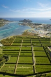 3546;aerial;aerial-photo;aerial-photograph;aerial-photographs;aerial-photography;aerial-photos;aerial-view;aerial-views;aerials;agricultural;agriculture;coromandel;coromandel-peninsula;country;countryside;crop;crops;estuaries;estuary;farm;farming;farmland;farms;field;fields;fruit;fruit-tree;fruit-trees;horticulture;inlet;inlets;island;Kiwifruit-Orchard;Kiwifruit-Orchards;lagoon;lagoons;N.I.;N.Z.;new;New-Zealand;NI;north;North-Is;north-is.;North-Island;NZ;orchard;orchards;pattern;patterns;Pauanui,;peninsula;row;rows;rural;Tairua-Harbour;tidal;tide;tree;trees;Waikato;water;zealand